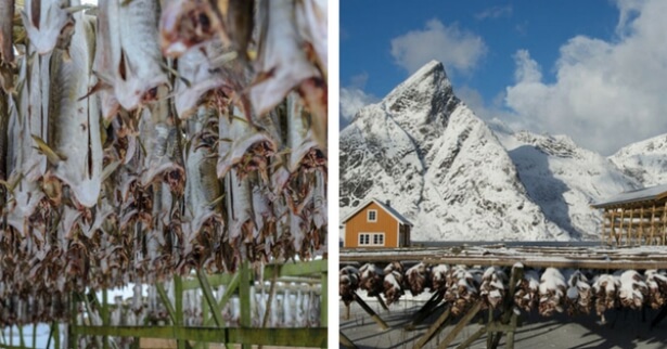 Exploring Lofoten Islands 8 1532588140045 1