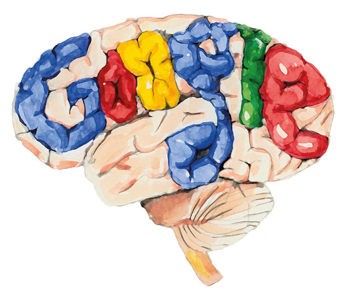 Google Effect: สมองเสื่อมดิจิทัล 2 1580789526996