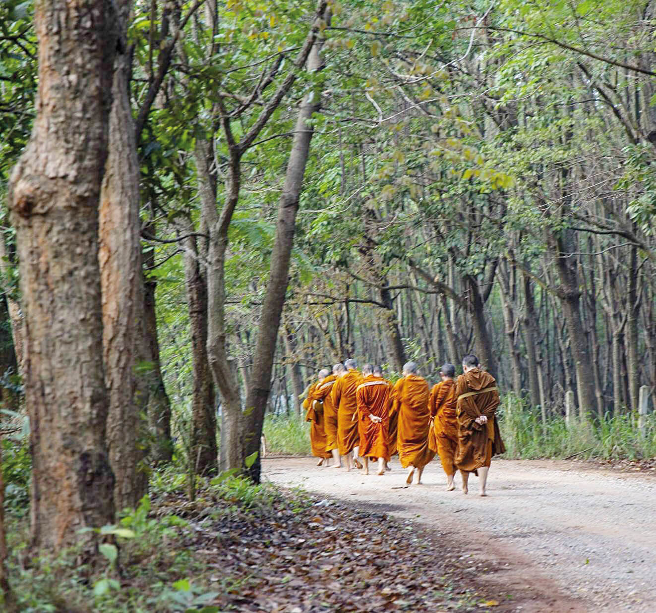 พระไพศาล วิสาโล ภูมิคุ้มกันชีวิต “กายปลอดเชื้อ ใจปลอดทุกข์” 3 1590638714434