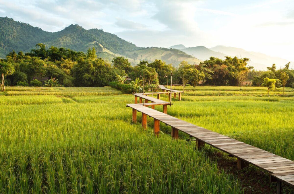 3 ฟาร์มสเตย์น่าพัก พาคุณไปหลงรักวิถีธรรมชาติในเมืองรอง 4 1651824479212