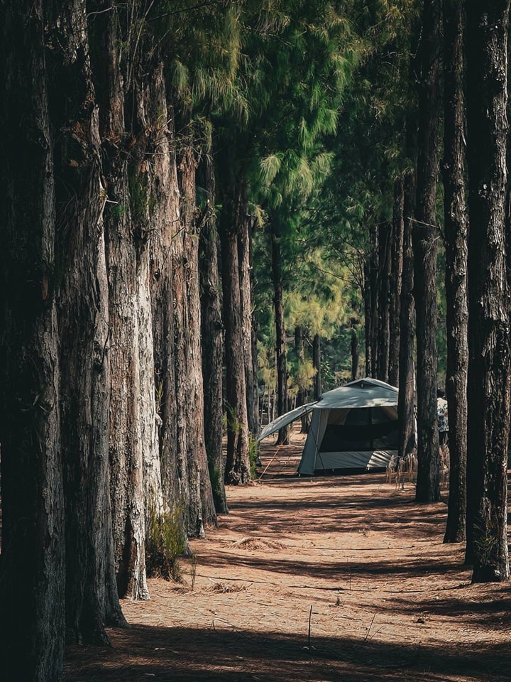 Road Trip เอาใจ ‘สายแคมปิง’ ไปกางเต็นท์ริมทะเล นอนชิลล์ฟังเสียงคลื่น และเพลิดเพลิน Activity สุดสนุก 6 449615635 880873770749367 2844327405330394185 n