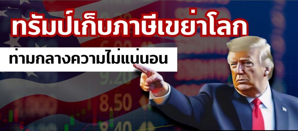 Banner My Wealth 50