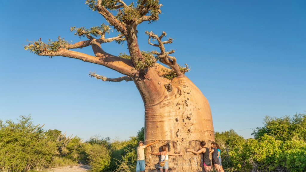 Madagascar: Island of Nature Wonders ‘มาดากัสการ์’ มหัศจรรย์ความงามแห่งธรรมชาติกลางมหาสมุทรอินเดีย 4 Heading 2 1