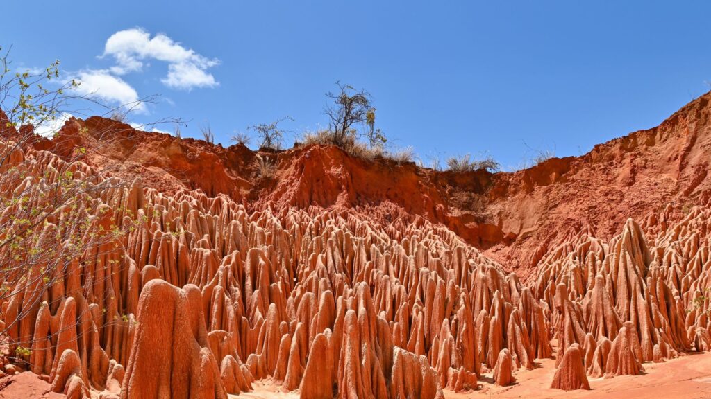 Madagascar: Island of Nature Wonders ‘มาดากัสการ์’ มหัศจรรย์ความงามแห่งธรรมชาติกลางมหาสมุทรอินเดีย 5 Heading 3 1