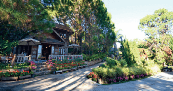 ป่าสนบ้านวัดจันทร์ …ในวันที่ลมหนาวพัดผ่าน 2 ga office