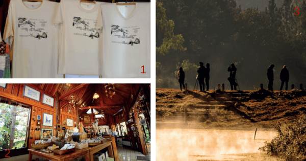 ป่าสนบ้านวัดจันทร์ …ในวันที่ลมหนาวพัดผ่าน 5 ga souvenir