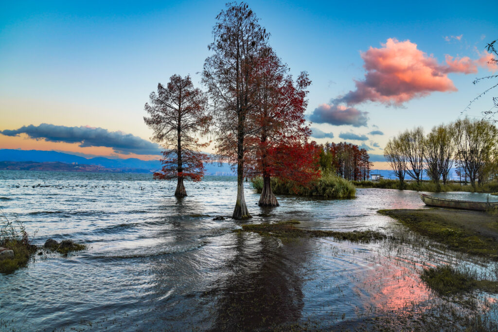 A Journey through Yunnan's Elite Destinations เยือน 3 เมืองประวัติศาสตร์มณฑลยูนนาน: คุนหมิง ต้าหลี่ และลี่เจียง 6 iStock 2190004507