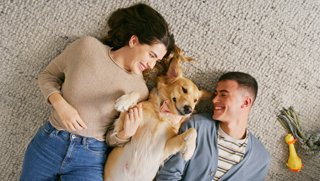 iStock 2194037841 1