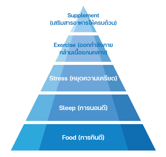 รู้จัก ‘ไมโครไบโอม’ ระบบนิเวศ ‘จุลชีพ’ ในร่างกาย ที่ต้อง ‘สมดุลดี’ เพื่อให้ ‘สุขภาพดี’ 3 image 3 1