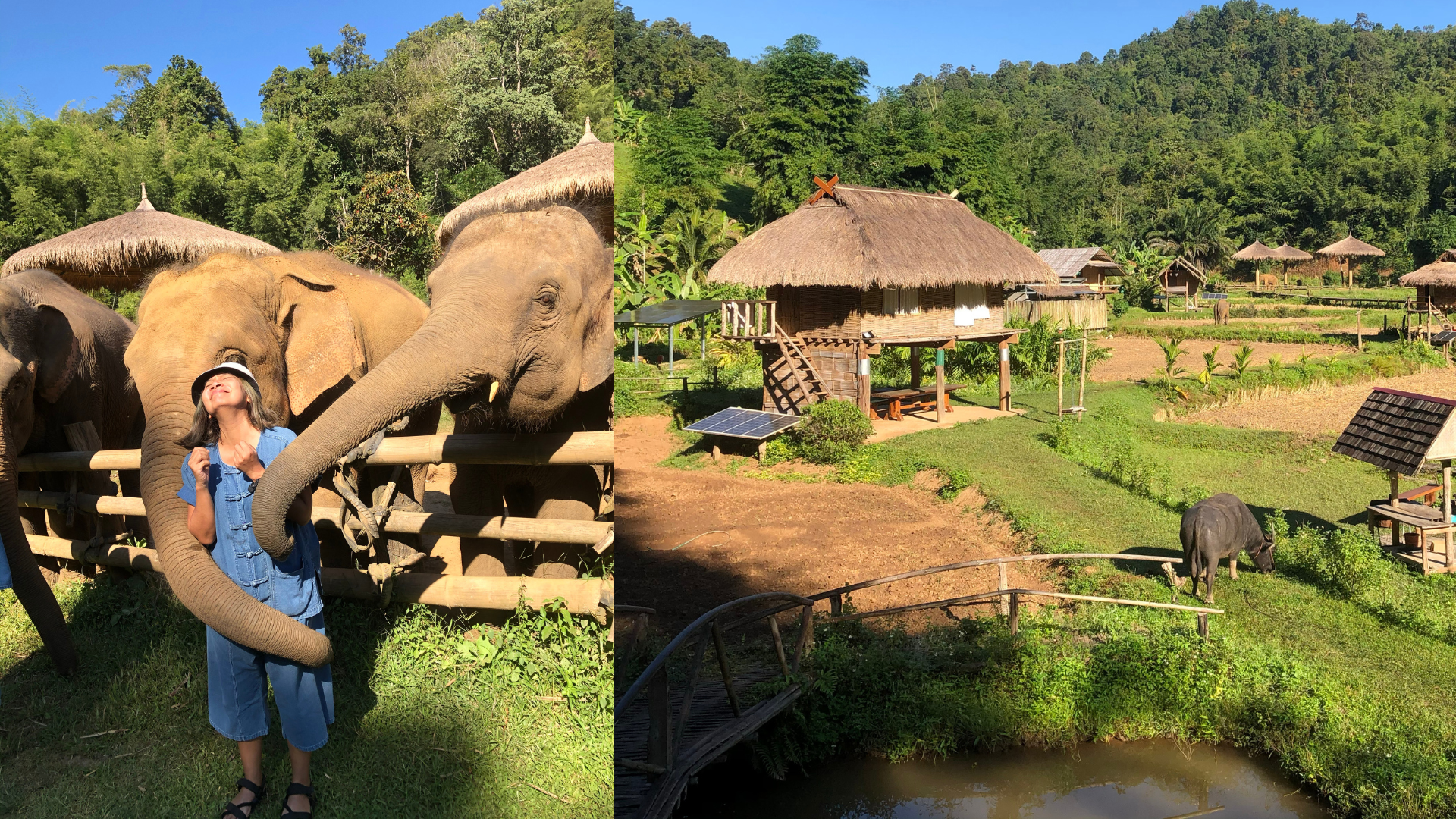 ไร่อ้อมกอดภูเขา